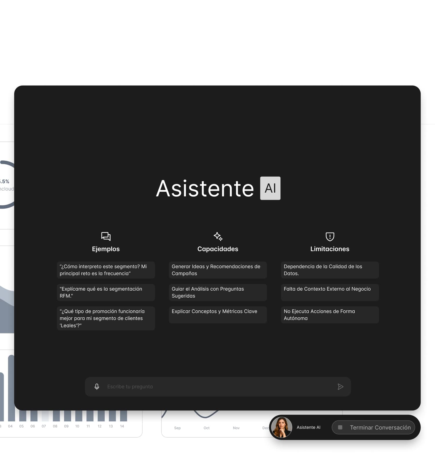 Domino's RFM Intelligence gallery 3